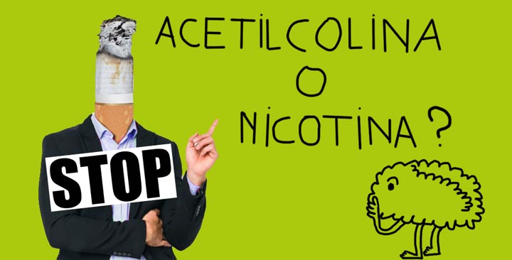 Smettere di fumare! Acetilcolina_o_nicotina